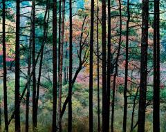 October 24, 1983 2:10 P.M.